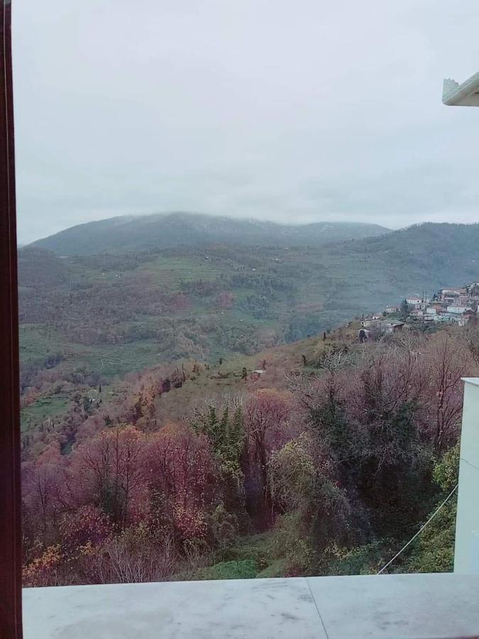 Evridiki Hotel Zagorá Kültér fotó