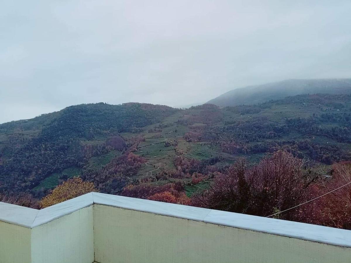 Evridiki Hotel Zagorá Kültér fotó