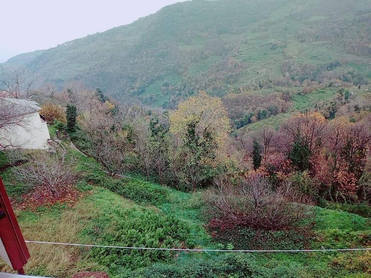 Evridiki Hotel Zagorá Kültér fotó